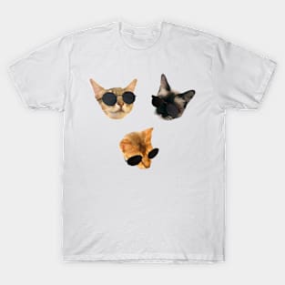 Cats with Sunglasses T-Shirt